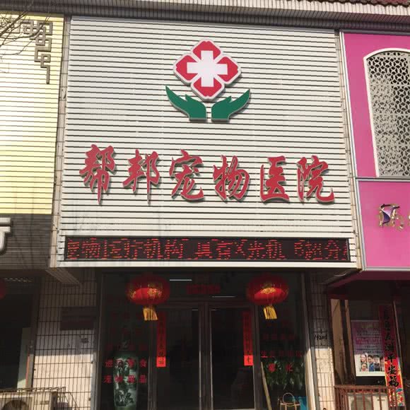 帮邦宠物医院:辽阳市白塔区博物馆附近