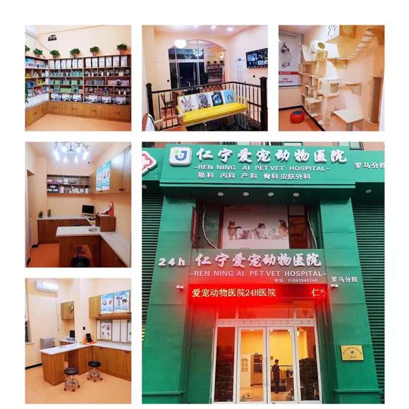 仁宁爱宠动物医院(罗马假日分院):辽阳市白塔区辽宁大学外国语学院附近