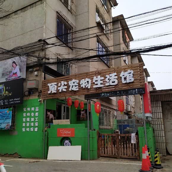 顶尖宠物生活馆:辽阳市白塔区友谊商城附近