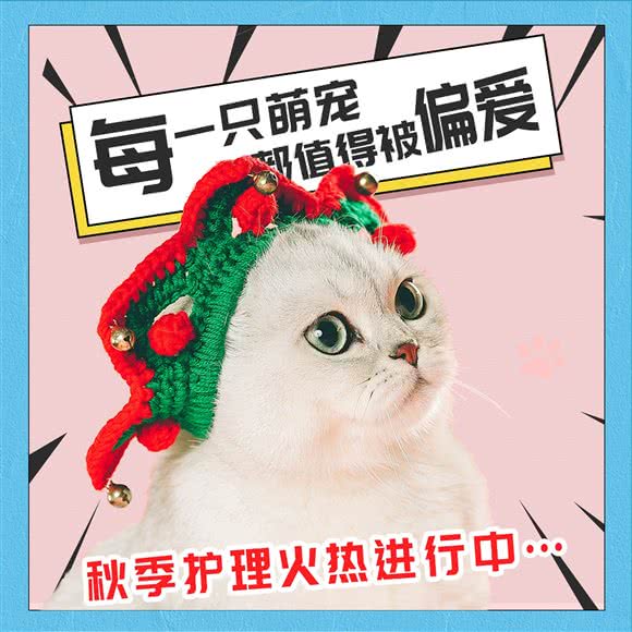 萌小它宠物(周庄子店):北京城区丰台区六里桥/丽泽桥附近