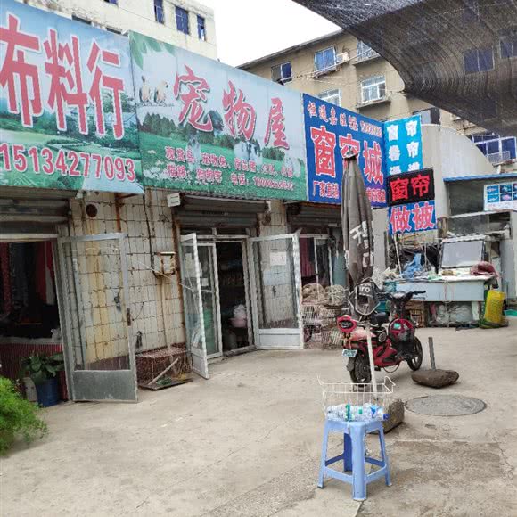 宠物屋:盘锦市双台子区兴隆二百附近