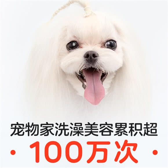 宠物十家:北京城区丰台区六里桥/丽泽桥附近