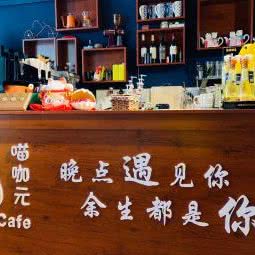 喵不可及:盘锦市双台子区瀚新附近