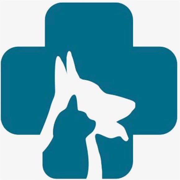 宠饵宠物诊所:盘锦市双台子区瀚新附近