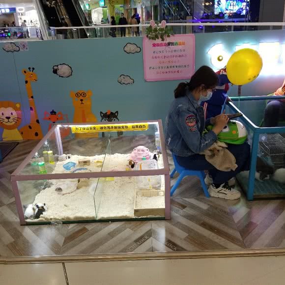 宠爱有家:盘锦市兴隆台区万达广场附近