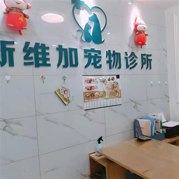 新维加宠物診所:盘锦市兴隆台区兴隆四百附近