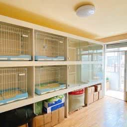 旺旺宠爱有家生活馆:盘锦市兴隆台区步行街附近