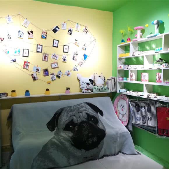 麦萌宠物生活馆:盘锦市兴隆台区步行街附近