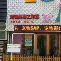 私宠空间宠物美容工作室:铁岭市银州区城南附近