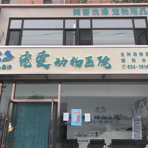 宠爱动物医院:铁岭市银州区城南附近