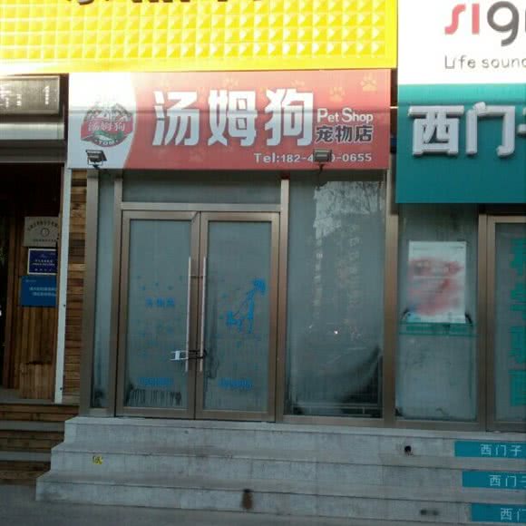 汤姆狗:铁岭市银州区小桥子附近