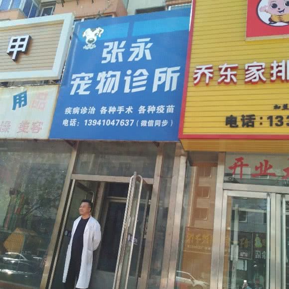张永宠物诊所:铁岭市银州区小桥子附近