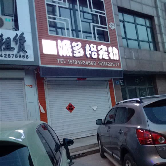 派多格宠物(光明街店):朝阳市双塔区新玛特附近
