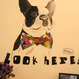 派多格宠物(银地家园店):北京城区丰台区花乡/新发地附近