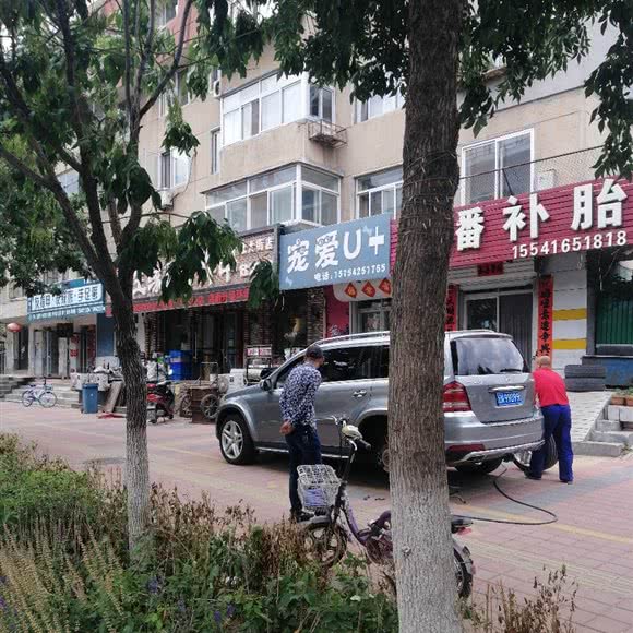 宠爱u:朝阳市双塔区北大街附近