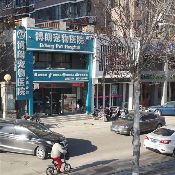 博朗宠物医院:朝阳市双塔区北大街附近