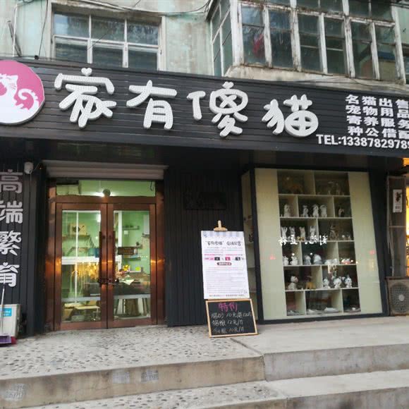 家有傻猫:朝阳市双塔区商业城附近