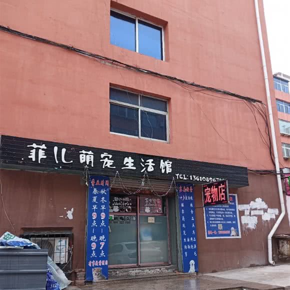 菲儿萌宠生活馆:葫芦岛市连山区步行街附近