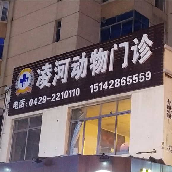 动物门诊:葫芦岛市连山区步行街附近