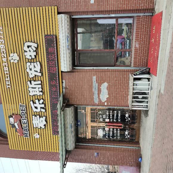 麦乐斯宠物狗:葫芦岛市连山区市中心医院附近