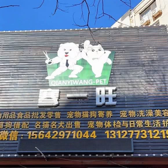 骞一旺宠物店:葫芦岛市连山区八区附近