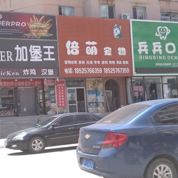 倍萌宠物:葫芦岛市连山区八区附近