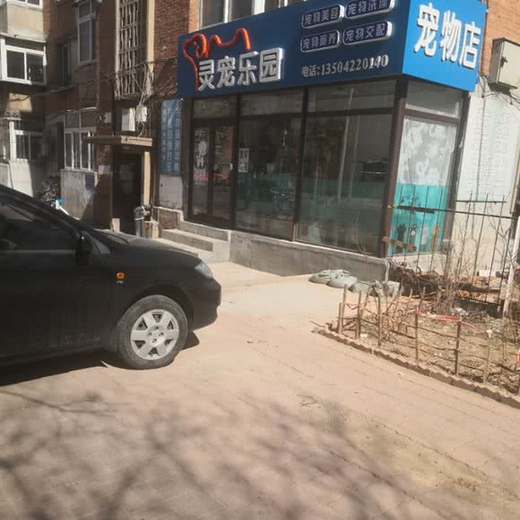 灵宠乐园:葫芦岛市连山区八区附近