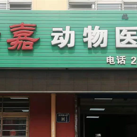 乐嘉动物医院:葫芦岛市连山区八区附近