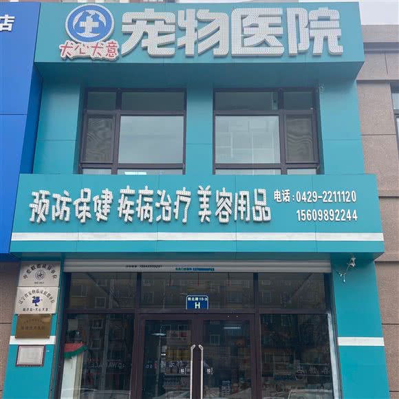 犬心犬意宠物医院:葫芦岛市连山区东城附近