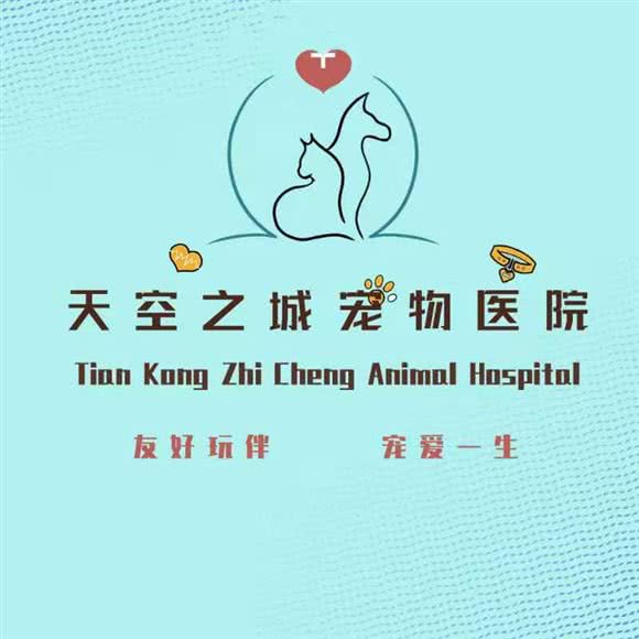 天空之城动物医院:北京城区丰台区花乡/新发地附近