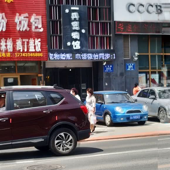 一丹宠物馆:长春市南关区新春附近