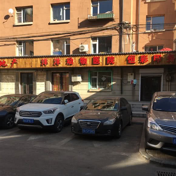 洋洋动物医院:长春市南关区新春附近