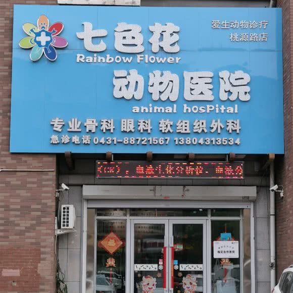 七色花动物医院:长春市南关区新春附近