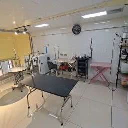 HONEY宠物医院:长春市南关区新春附近