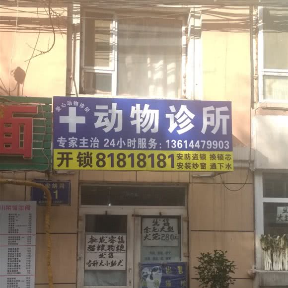 爱心动物诊所动物诊所:长春市南关区新春附近