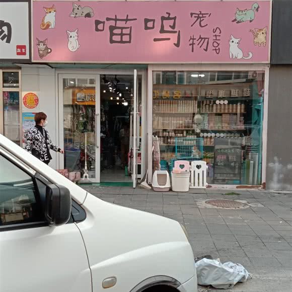 喵呜宠物:长春市南关区南岭附近