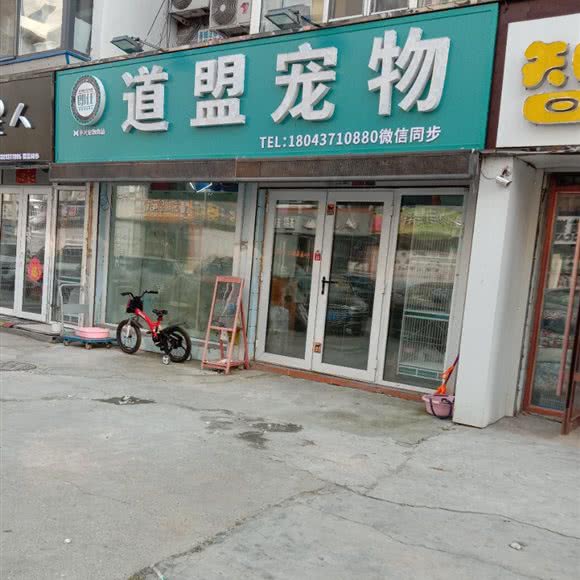 道盟宠物:长春市南关区南岭附近