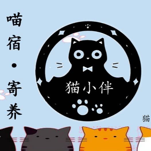 猫小伴·喵宿·寄养(荟聚店):北京城区丰台区西红门附近