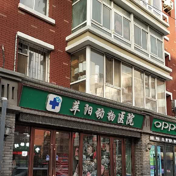苹阳动物诊所:长春市南关区南岭附近