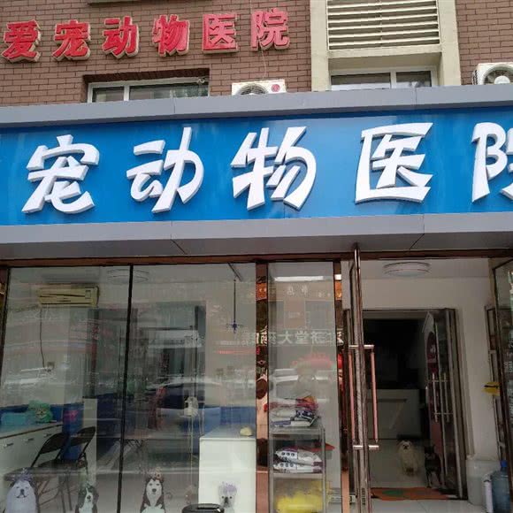 爱宠动物医院:长春市南关区南岭附近