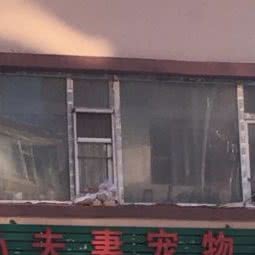 小夫妻宠物店:长春市南关区世荣路／南三环附近