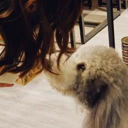 oK私宠豪橫店:长春市南关区世荣路／南三环附近