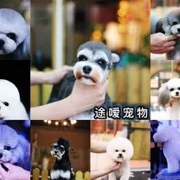 途嗳狗狗:长春市南关区世荣路/南三环附近