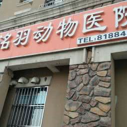 洺羽动物医院:长春市南关区世荣路／南三环附近