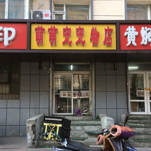 萌萌宠宠物店:长春市南关区人民广场附近