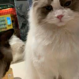 喵的天空之城:长春市南关区卫星广场附近