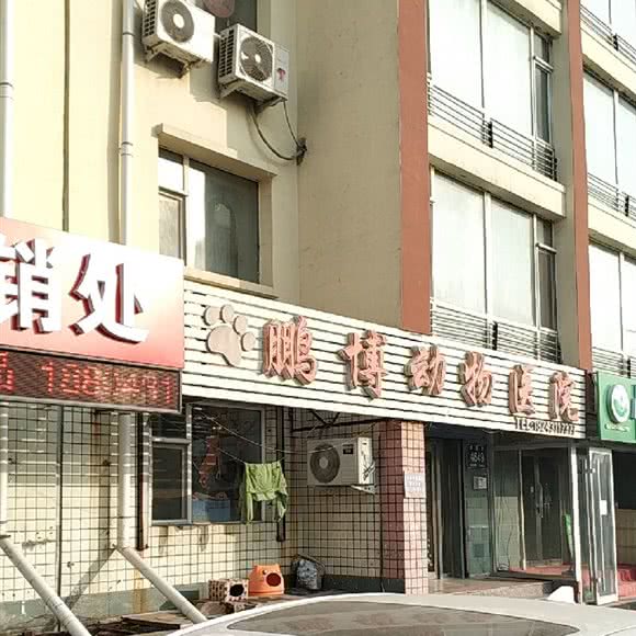 鹏博动物医院:长春市南关区卫星广场附近