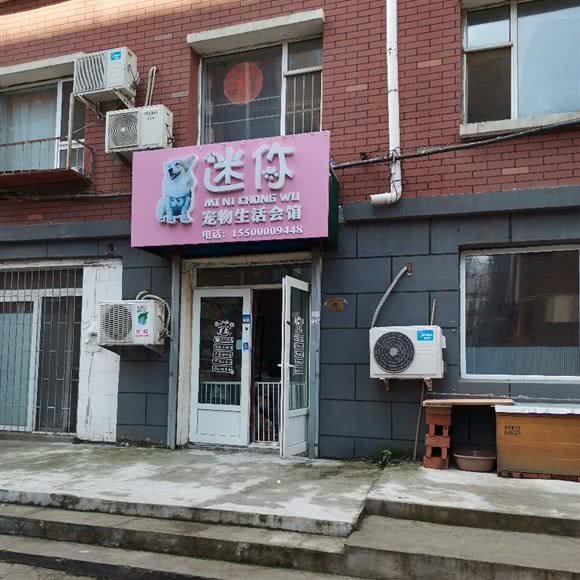 迷你宠物生活会馆:长春市南关区全安广场附近