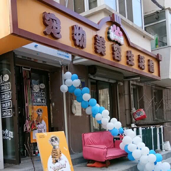 cat&dog宠物美容生活馆:长春市南关区全安广场附近