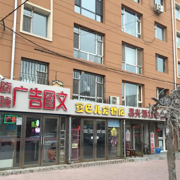 豆巴儿宠物店:长春市南关区南关区政府附近